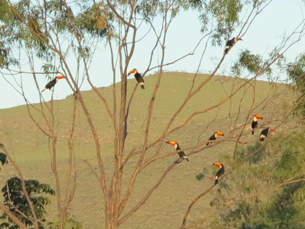 Pousada Recanto Da Grande Paz Alto Paraíso de Goiás Bagian luar foto